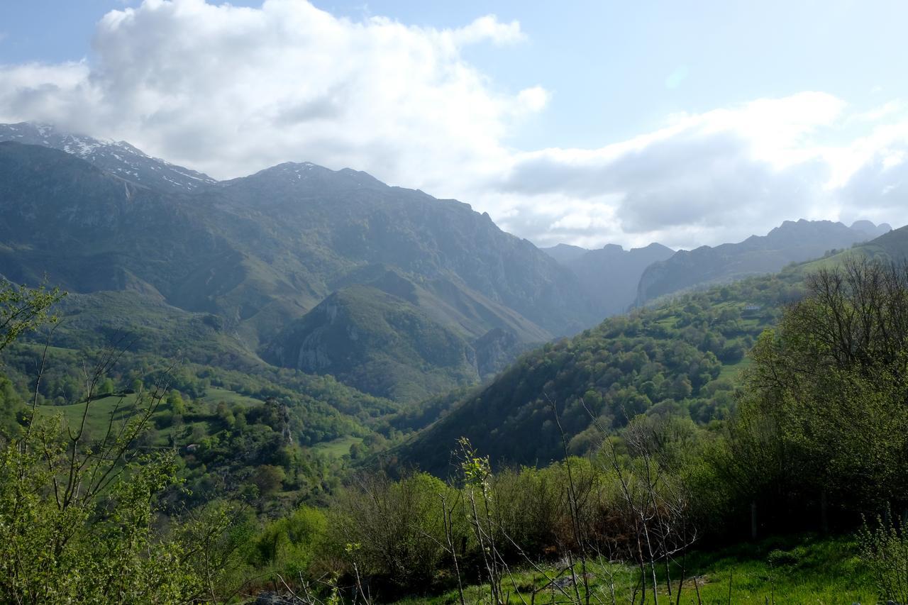 La Terraza De Picos Hotel Ortiguero Екстериор снимка